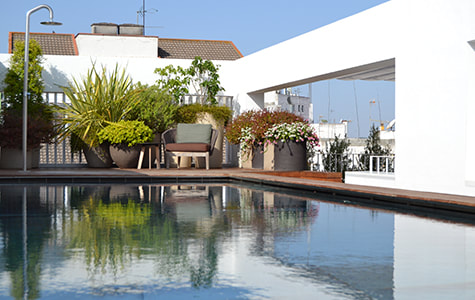 Mercer Sevilla​, Rooftop Pool 3